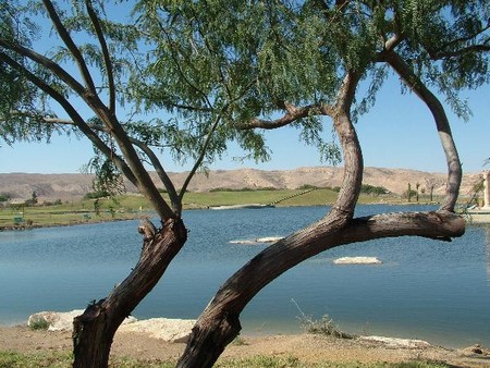 Wasser in der Negev Wüste: ein JNF-KKL Projekt in Mitzpe Ramon