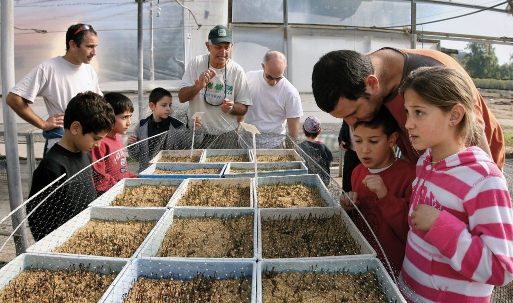 Lernen über die Natur mit dem KKL in Israel